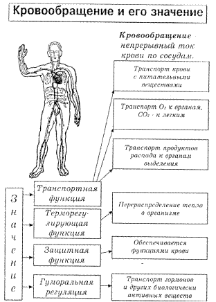 Орієнтовна карта до ПЗ № 5 - student2.ru