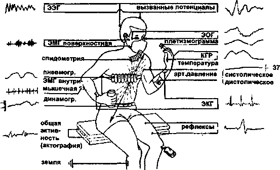 Основные физиологические показатели оператора - student2.ru