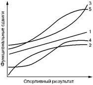 Основные тенденции в динамике функциональной специализации двигательного аппарата в процессе становления спортивного мастерства - student2.ru