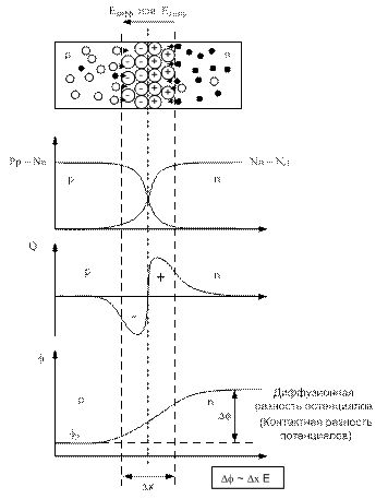 P-n-переход в равновесном состоянии - student2.ru