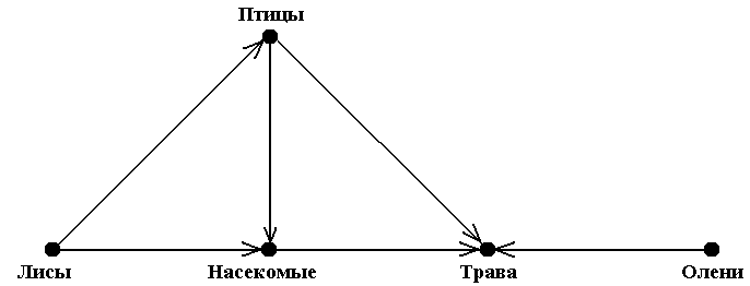 Понятие и определения графа - student2.ru