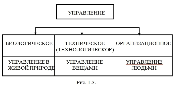 понятие управления. система управления. виды управления - student2.ru