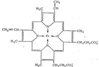 Представления о строении металлоферментов и других биокомплексных соединений (гемоглобин, цитохромы, кобаламины). - student2.ru