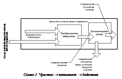 Преемственные этапы обработки первичной информации в психике индивида - student2.ru