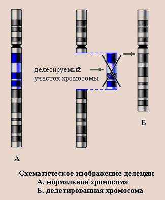 Проблемы генетической безопасности - student2.ru