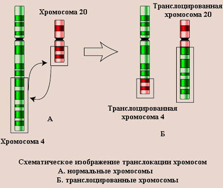 Проблемы генетической безопасности - student2.ru
