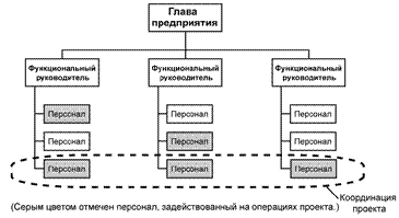 Проектная организационная структура реализации проекта - student2.ru