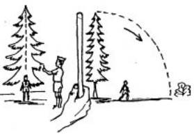 Измерение высоты дерева с помощью его тени. - student2.ru