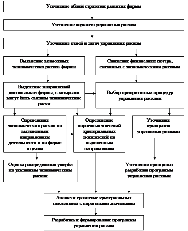 Разработка программы управления рисками - student2.ru