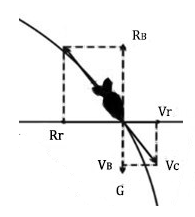 рух авіаційних бомб при відсутності опору. - student2.ru