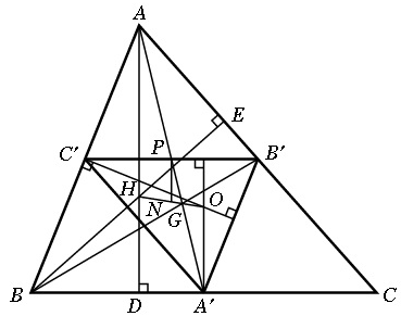 Серединний трикутник і пряма Ейлера - student2.ru