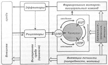 Система переработки информации человеком - student2.ru