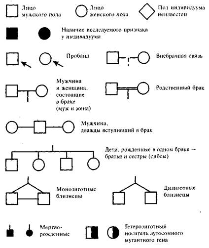 Составление и анализ родословных - student2.ru
