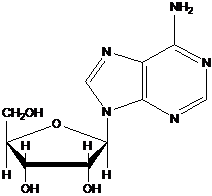 структурные формулы биоорганических соединений - student2.ru