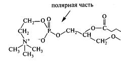 Свойства омыляемых липидов - student2.ru