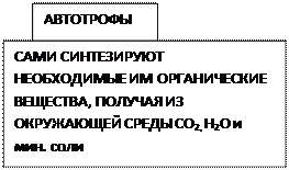 Уравнения реакций этапов энергетического обмена - student2.ru