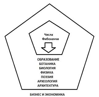 В США создается даже Математическая Фибоначчи-ассоциация, которая с 1963 года выпускает специальный журнал. - student2.ru