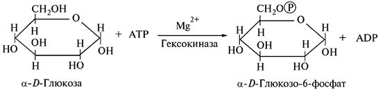 Влияние газового состава атмосферы - student2.ru