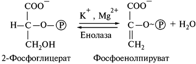 Влияние газового состава атмосферы - student2.ru