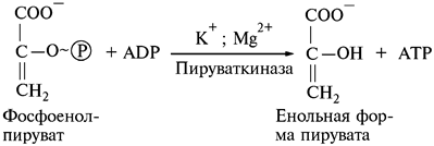 Влияние газового состава атмосферы - student2.ru