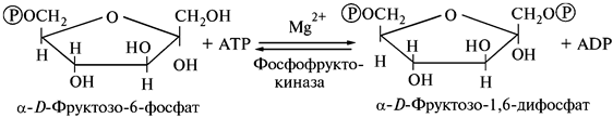 Влияние газового состава атмосферы - student2.ru