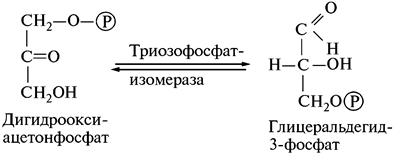 Влияние газового состава атмосферы - student2.ru