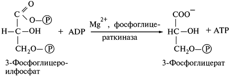 Влияние газового состава атмосферы - student2.ru