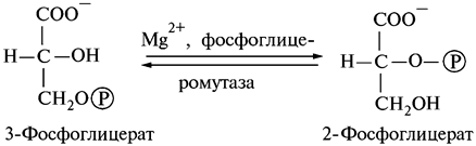 Влияние газового состава атмосферы - student2.ru