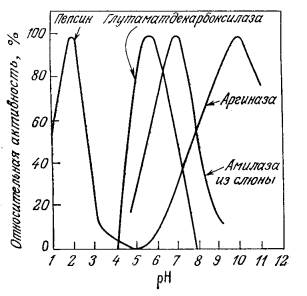 Зависимость скорости ферментативной реакции от температуры, рН, концентрации фермента и концентрации субстрата. - student2.ru