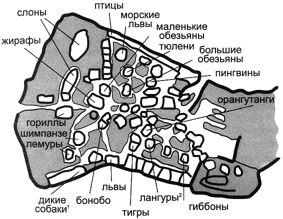 Желтые разделительные линии - student2.ru