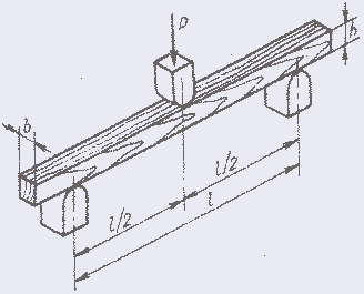 Определение прочности древесины - student2.ru