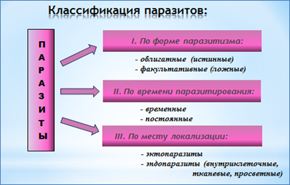 А.Б. Ходжаян, А.К. Михайленко, Э.Н. Макаренко - student2.ru