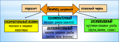 А.Б. Ходжаян, А.К. Михайленко, Э.Н. Макаренко - student2.ru