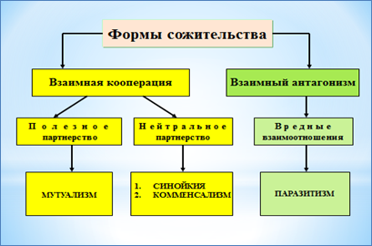 А.Б. Ходжаян, А.К. Михайленко, Э.Н. Макаренко - student2.ru