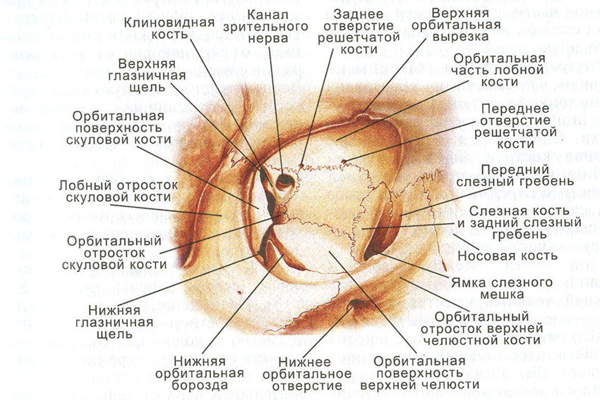 А — вид снаружи; Б — вид изнутри - student2.ru