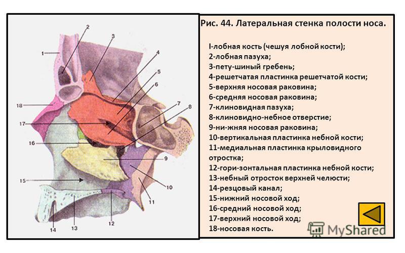 А — вид снаружи; Б — вид изнутри - student2.ru