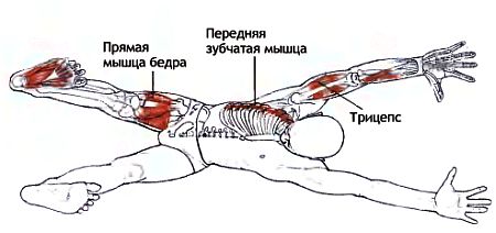 Адхо-Мукха-Шванасана — Поза собаки, смотрящей вниз - student2.ru