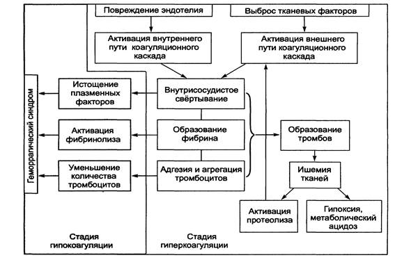 Агрегация тромбоцитов при повреждении эндотелия - student2.ru