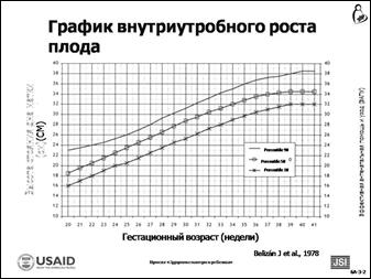 Активность 4. Ролевые игры - student2.ru