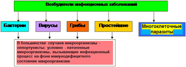 акторы, способствующие увеличению распространения ВБИ. - student2.ru