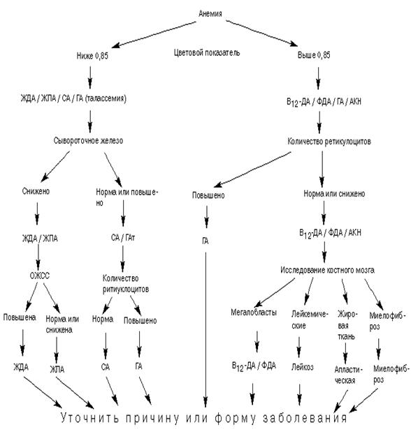 Алгоритм диагностики при анемии. - student2.ru