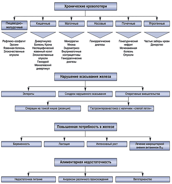 Алгоритм диагностики железодефицитных анемий - student2.ru