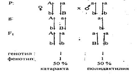 Алгоритм решения задачи №2(часть 1) - student2.ru