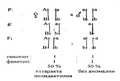 Алгоритм решения задачи №2(часть 1) - student2.ru