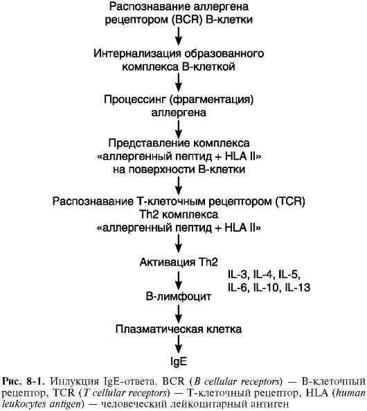 Аллергические реакции, развивающиеся по I типу гиперчувствительности - student2.ru