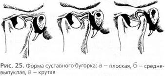 анатомия и биомеханика зубочелюстной системы - student2.ru