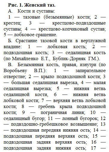 Анатомия и физиология родовых путей - student2.ru