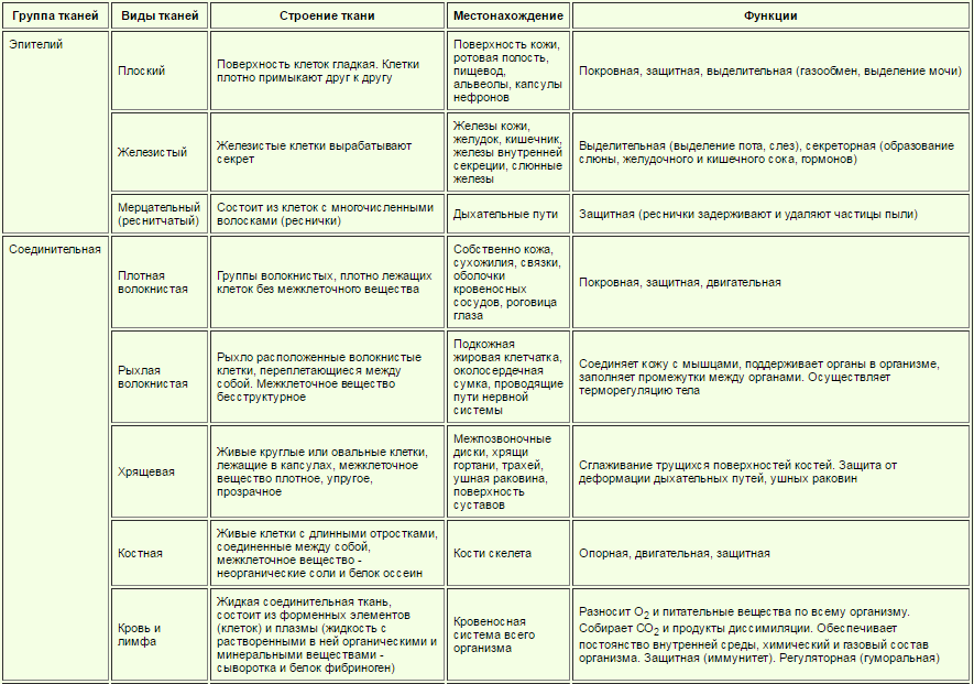 Анатомия. История развития и современность. - student2.ru