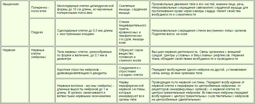 Анатомия. История развития и современность. - student2.ru