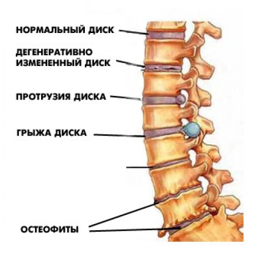 Факторы, влияющие на подвижность суставов. - student2.ru